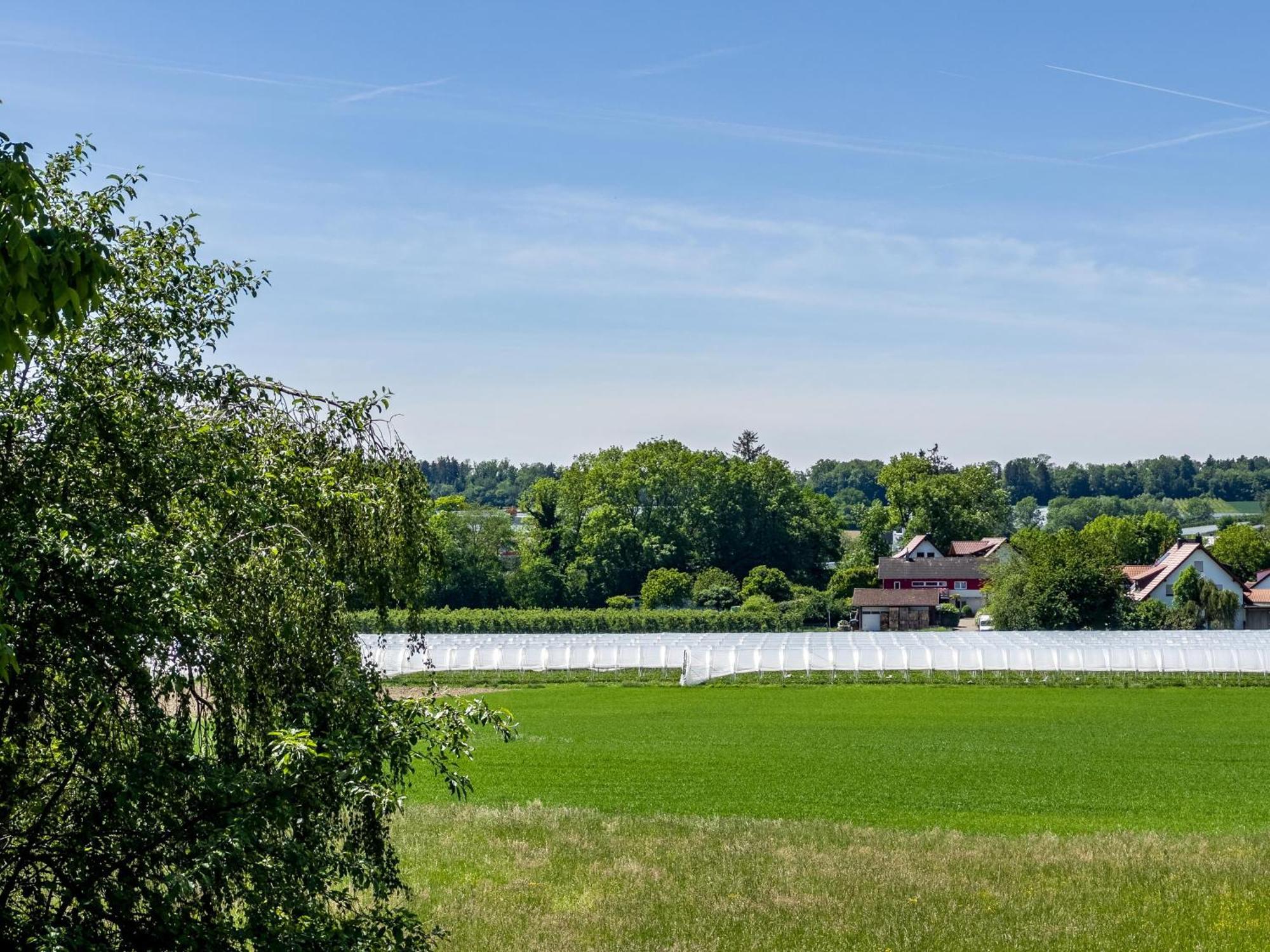 Apartmán Haus Sohl 1 FDH Exteriér fotografie